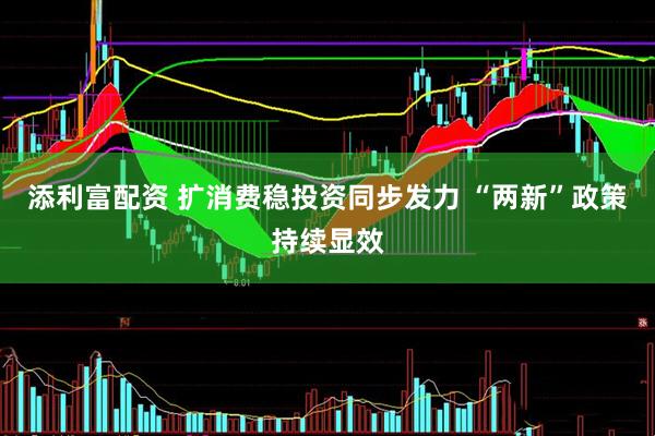 添利富配资 扩消费稳投资同步发力 “两新”政策持续显效
