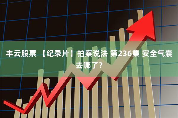 丰云股票 【纪录片】拍案说法 第236集 安全气囊去哪了？
