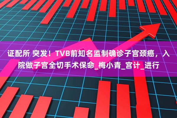 证配所 突发！TVB前知名监制确诊子宫颈癌，入院做子宫全切手术保命_梅小青_宫计_进行