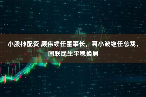 小股神配资 顾伟续任董事长,葛小波继任总裁,国联民生平稳换届